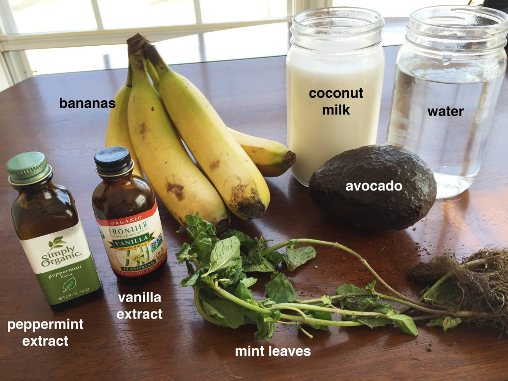 Paleo Shamrock Shake Ingredients