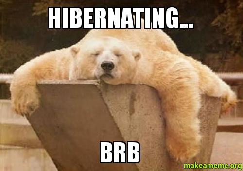 hibernating bear