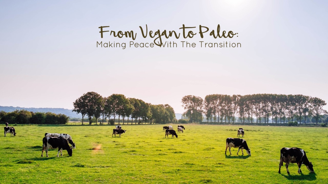 How I Transitioned From Vegan to Paleo