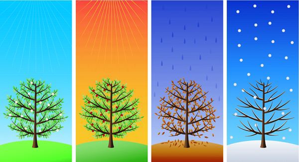 four different seasons