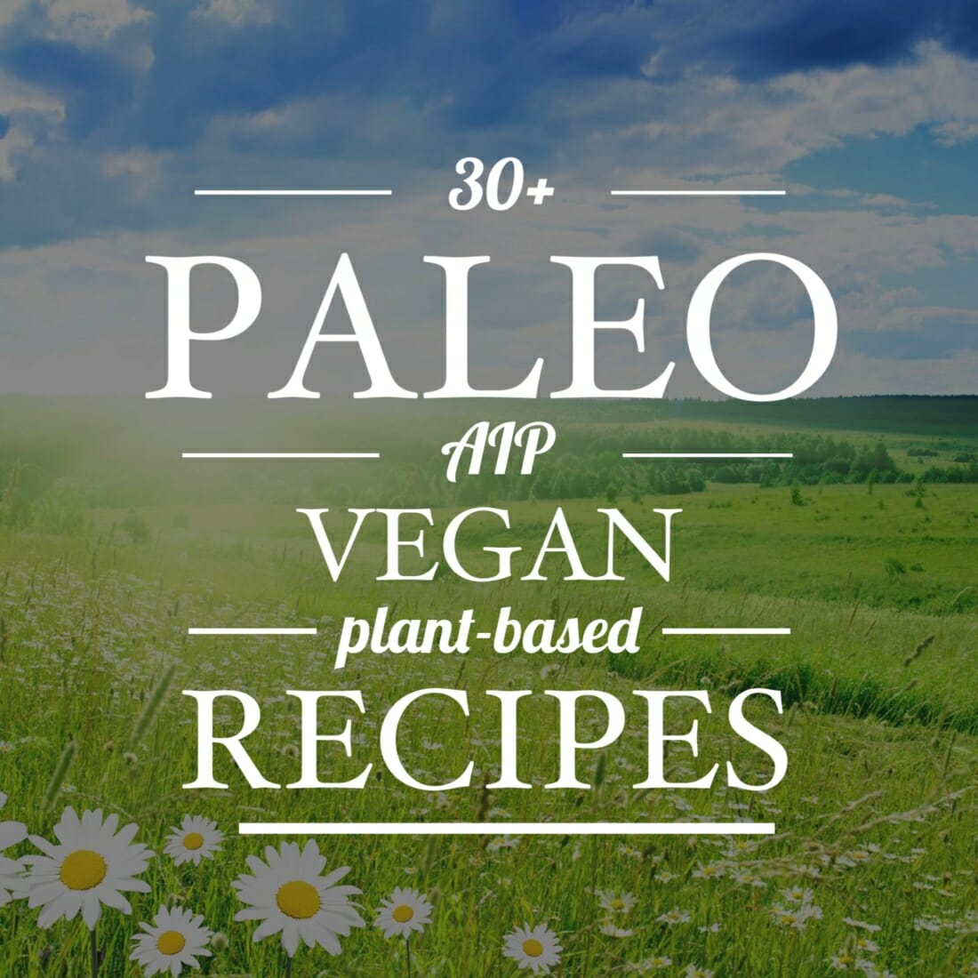 30+ Paleo / AIP + Vegan Recipes