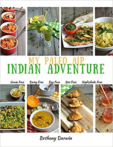 my paleo aip indian adventure cookbook