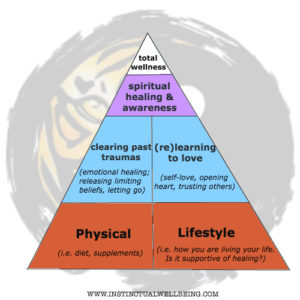 instinctual wellbeing total wellness pyramid