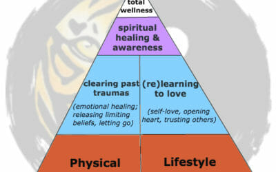 Introducing the Total Wellness Pyramid