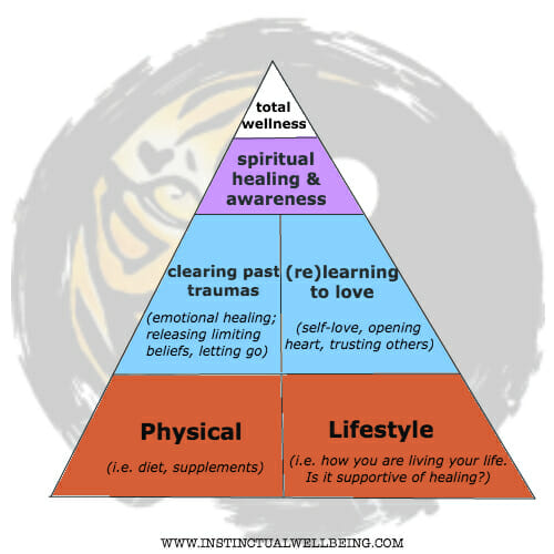 Introducing the Total Wellness Pyramid